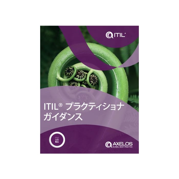 ITIL® Practitioner Guidance (Japanese)