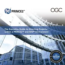 The Executive Guide to Directing Projects: within a PRINCE2 and MSP Environment 
