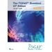The TOGAF® Standard, 10th Edition - Leader’s Guide – 2025 Update